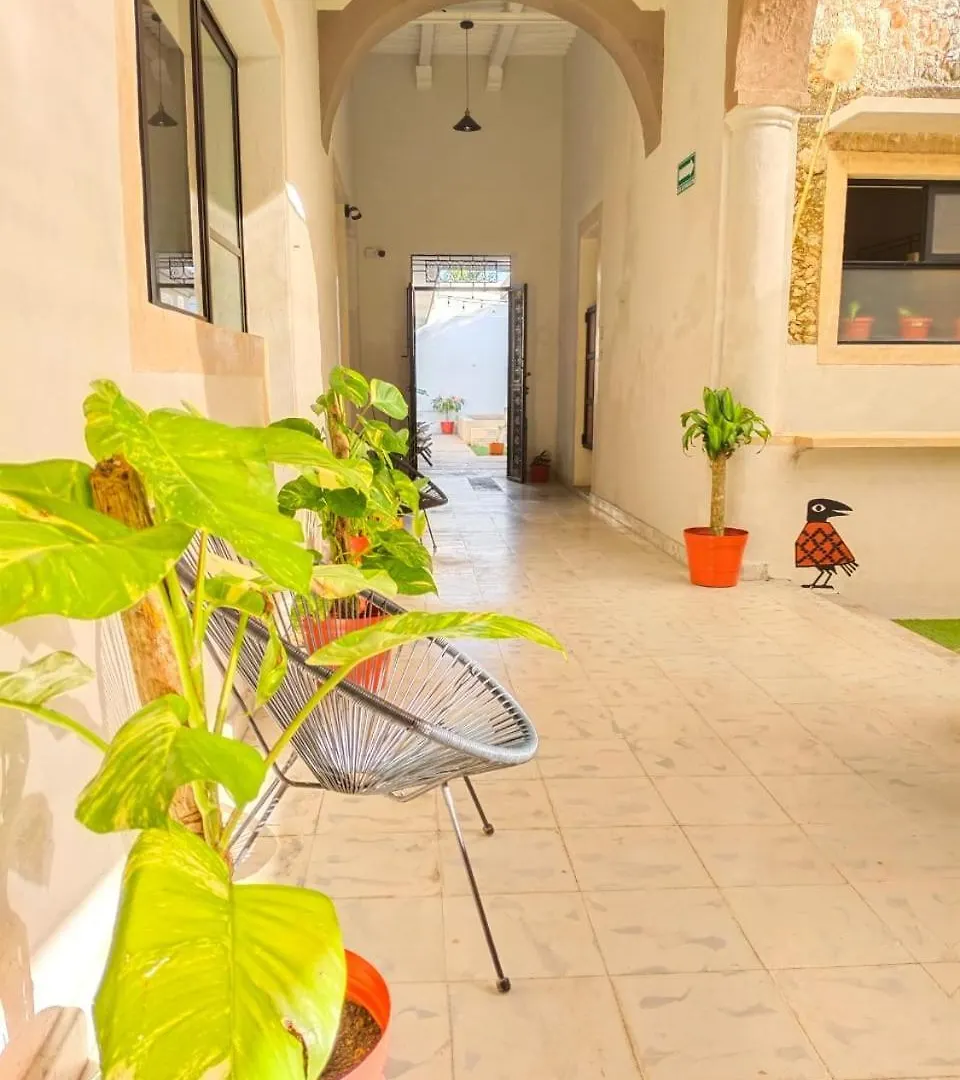 Casa de hóspedes Habitacion Compartida Para Mujeres Mérida